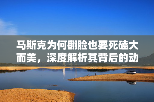 马斯克为何翻脸也要死磕大而美，深度解析其背后的动机与战略考量