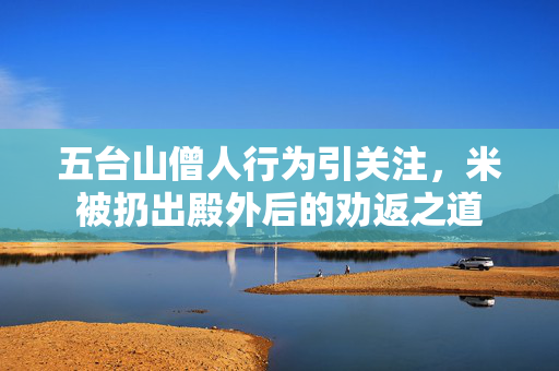 五台山僧人行为引关注，米被扔出殿外后的劝返之道
