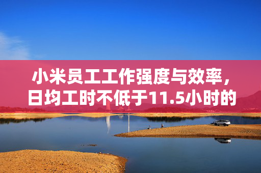 小米员工工作强度与效率，日均工时不低于11.5小时的探讨