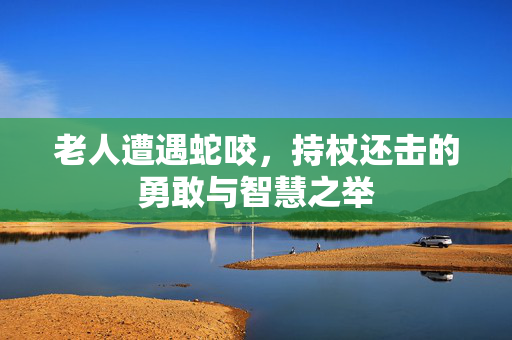 老人遭遇蛇咬，持杖还击的勇敢与智慧之举