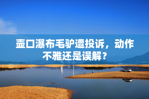 壶口瀑布毛驴遭投诉，动作不雅还是误解？