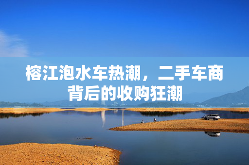 榕江泡水车热潮，二手车商背后的收购狂潮