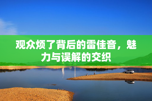 观众烦了背后的雷佳音，魅力与误解的交织