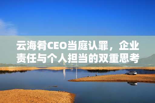 云海肴CEO当庭认罪，企业责任与个人担当的双重思考