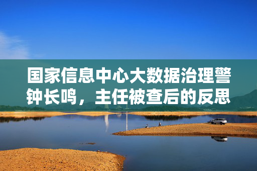 国家信息中心大数据治理警钟长鸣，主任被查后的反思与行动指南