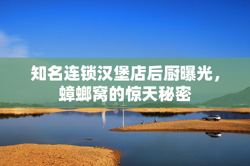 知名连锁汉堡店后厨曝光，蟑螂窝的惊天秘密