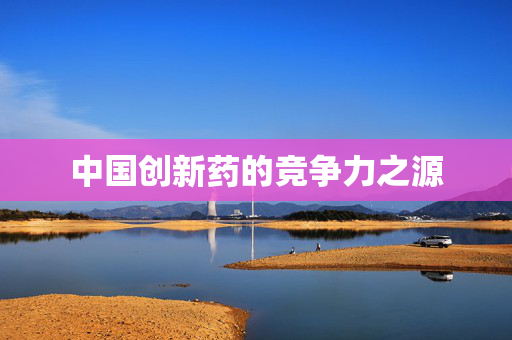 中国创新药的竞争力之源