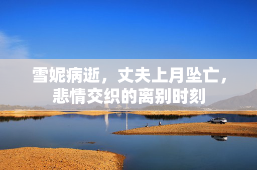 雪妮病逝，丈夫上月坠亡，悲情交织的离别时刻