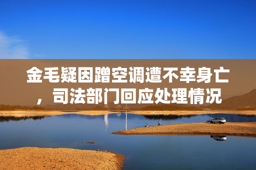 金毛疑因蹭空调遭不幸身亡，司法部门回应处理情况