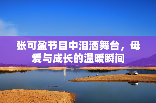 张可盈节目中泪洒舞台，母爱与成长的温暖瞬间