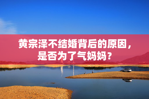 黄宗泽不结婚背后的原因，是否为了气妈妈？