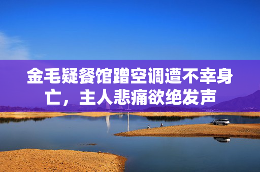 金毛疑餐馆蹭空调遭不幸身亡，主人悲痛欲绝发声