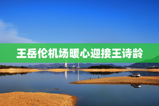 王岳伦机场暖心迎接王诗龄
