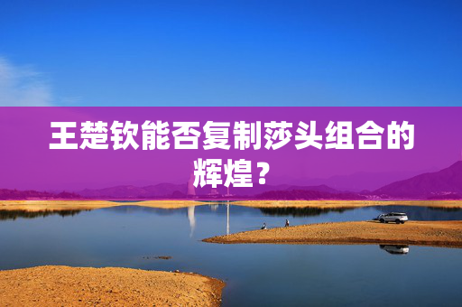 王楚钦能否复制莎头组合的辉煌？
