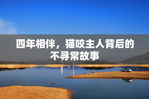 四年相伴，猫咬主人背后的不寻常故事