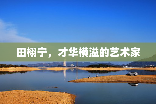 田栩宁，才华横溢的艺术家