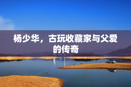 杨少华，古玩收藏家与父爱的传奇