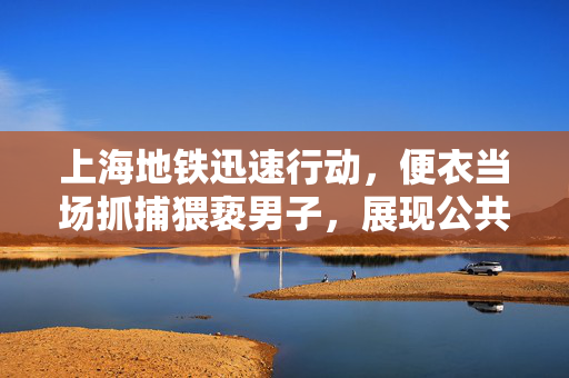 上海地铁迅速行动，便衣当场抓捕猥亵男子，展现公共交通安全管理新成效
