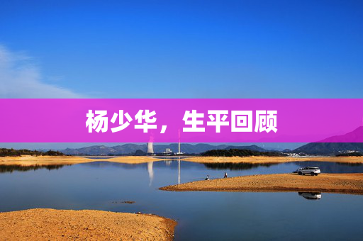 杨少华，生平回顾