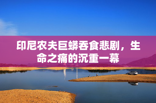 印尼农夫巨蟒吞食悲剧，生命之痛的沉重一幕