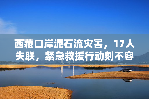 西藏口岸泥石流灾害，17人失联，紧急救援行动刻不容缓