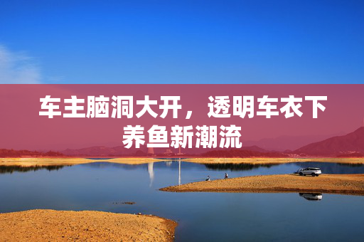 车主脑洞大开，透明车衣下养鱼新潮流