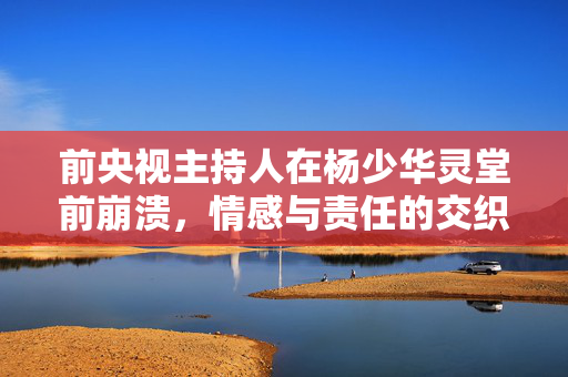 前央视主持人在杨少华灵堂前崩溃，情感与责任的交织