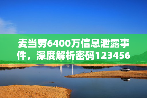 麦当劳6400万信息泄露事件，深度解析密码123456的危害