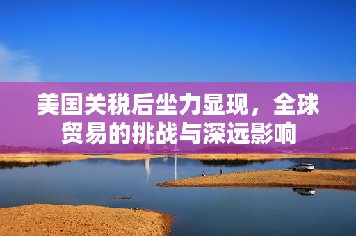 美国关税后坐力显现，全球贸易的挑战与深远影响