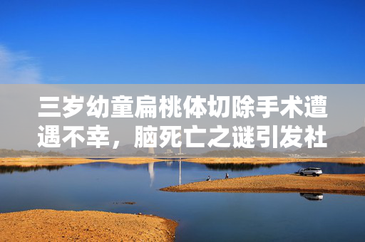 三岁幼童扁桃体切除手术遭遇不幸，脑死亡之谜引发社会广泛关注