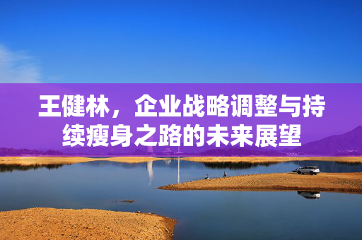 王健林，企业战略调整与持续瘦身之路的未来展望