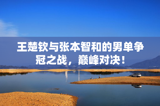 王楚钦与张本智和的男单争冠之战，巅峰对决！