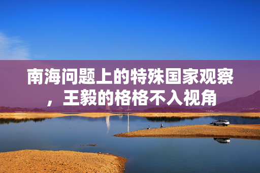 南海问题上的特殊国家观察，王毅的格格不入视角