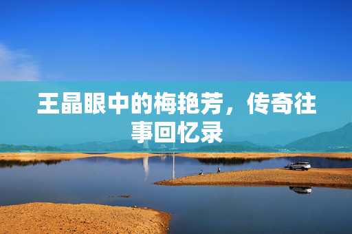 王晶眼中的梅艳芳，传奇往事回忆录