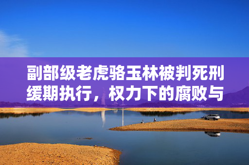 副部级老虎骆玉林被判死刑缓期执行，权力下的腐败与法治的审判