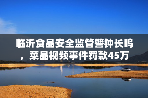 临沂食品安全监管警钟长鸣，菜品视频事件罚款45万