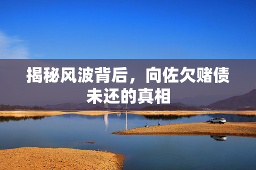 揭秘风波背后，向佐欠赌债未还的真相