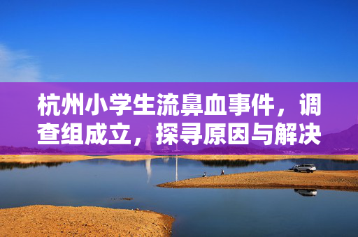 杭州小学生流鼻血事件，调查组成立，探寻原因与解决方案