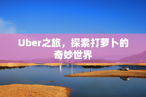 Uber之旅，探索打萝卜的奇妙世界
