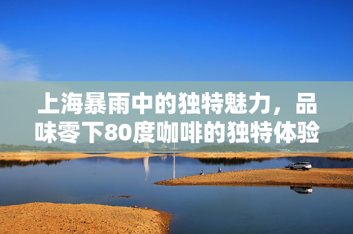 上海暴雨中的独特魅力，品味零下80度咖啡的独特体验