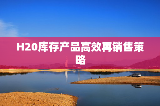 H20库存产品高效再销售策略