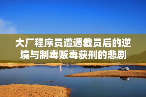 大厂程序员遭遇裁员后的逆境与制毒贩毒获刑的悲剧