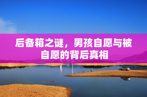 后备箱之谜，男孩自愿与被自愿的背后真相