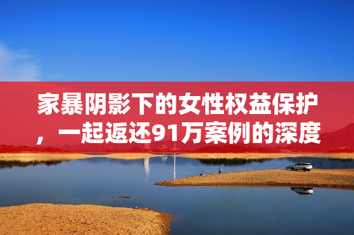 家暴阴影下的女性权益保护，一起返还91万案例的深度分析