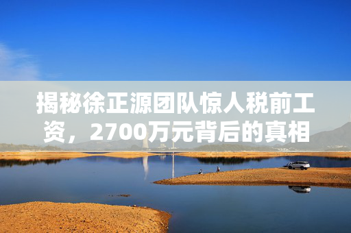 揭秘徐正源团队惊人税前工资，2700万元背后的真相