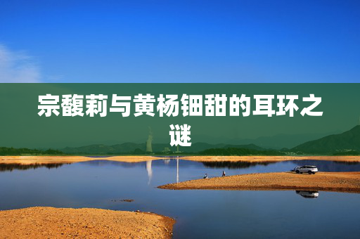 宗馥莉与黄杨钿甜的耳环之谜