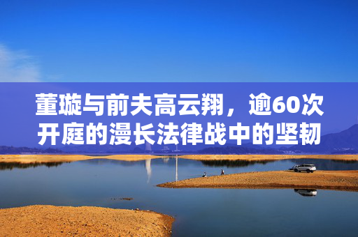董璇与前夫高云翔，逾60次开庭的漫长法律战中的坚韧与坚持