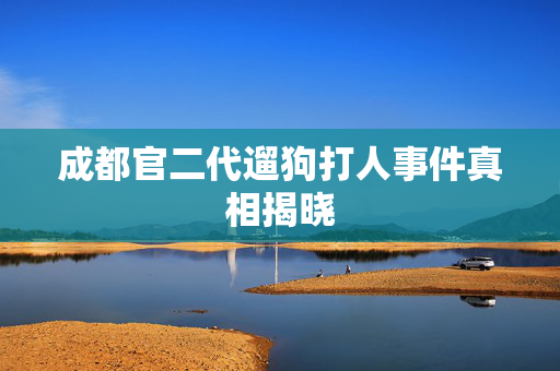 成都官二代遛狗打人事件真相揭晓