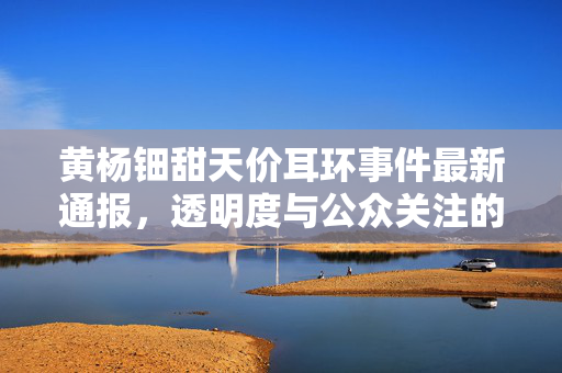 黄杨钿甜天价耳环事件最新通报，透明度与公众关注的双向探讨