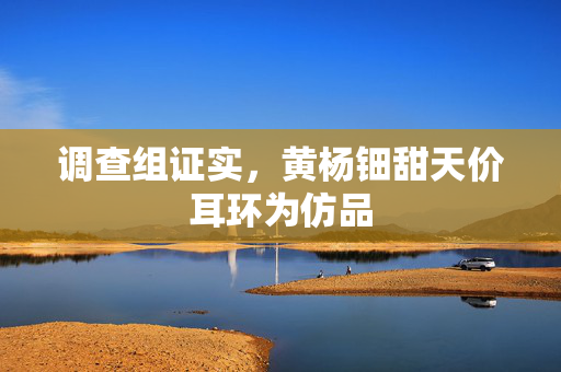 调查组证实，黄杨钿甜天价耳环为仿品